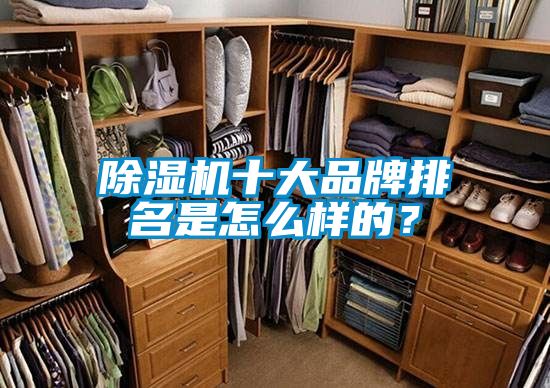 茄子视频懂你更多在线观看十大品牌排名是怎么样的？