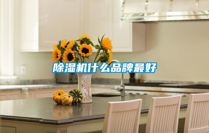 茄子视频懂你更多在线观看什么品牌最好