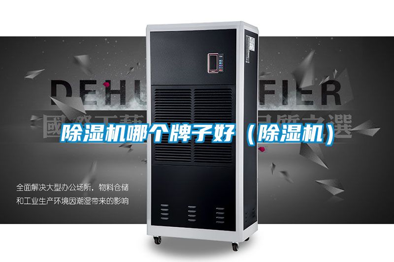 茄子视频懂你更多在线观看哪个牌子好(茄子视频懂你更多在线观看)