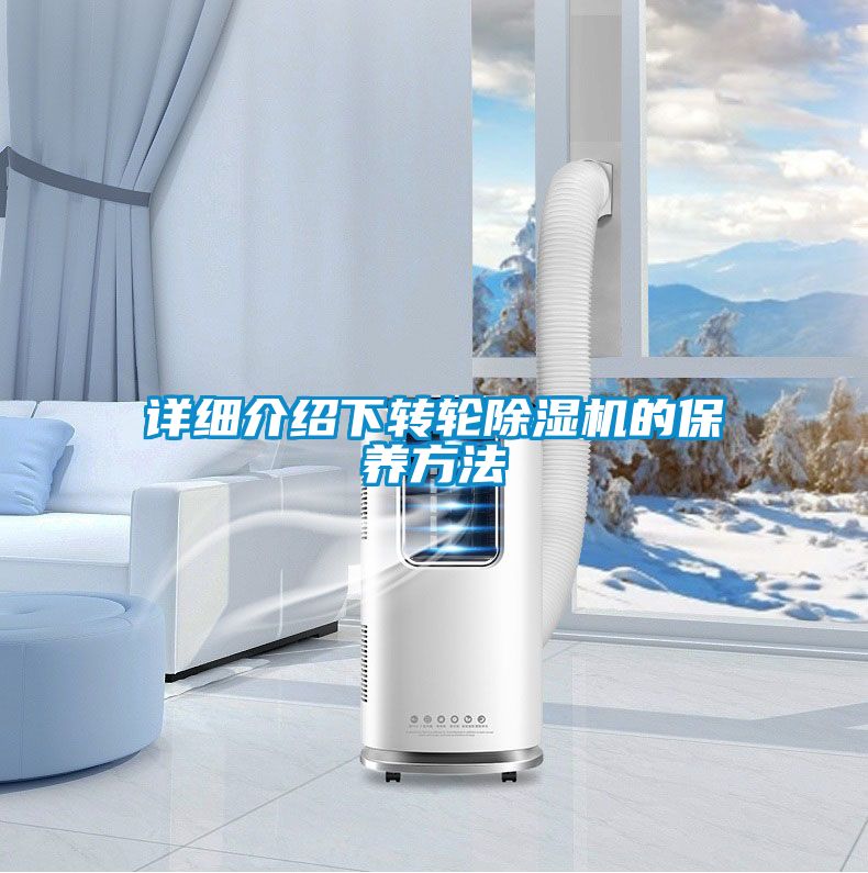 详细介绍下转轮茄子视频懂你更多在线观看的保养方法