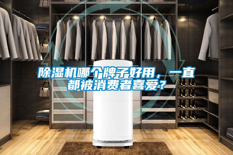 茄子视频懂你更多在线观看哪个牌子好用，一直都被消费者喜爱？