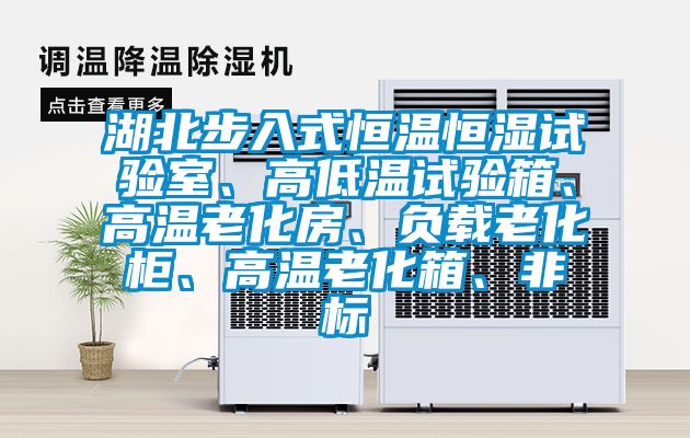 湖北步入式恒温恒湿试验室、高低温试验箱、高温老化房、负载老化柜、高温老化箱、非标