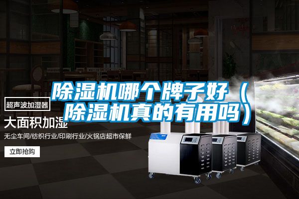 茄子视频懂你更多在线观看哪个牌子好( 茄子视频懂你更多在线观看真的有用吗)