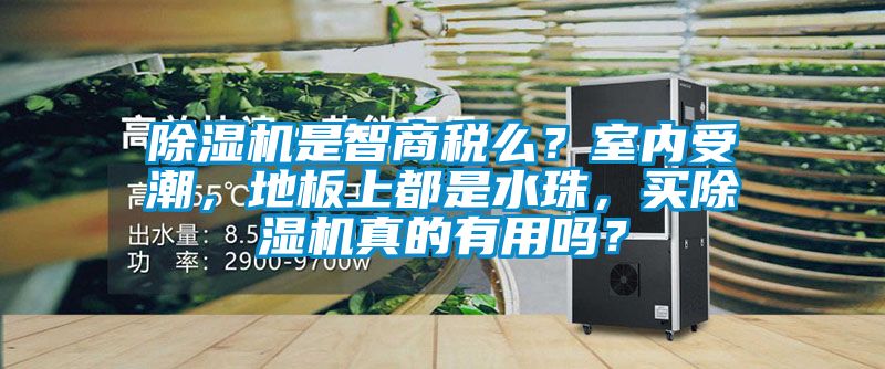 茄子视频懂你更多在线观看是智商税么？室内受潮，地板上都是水珠，买茄子视频懂你更多在线观看真的有用吗？