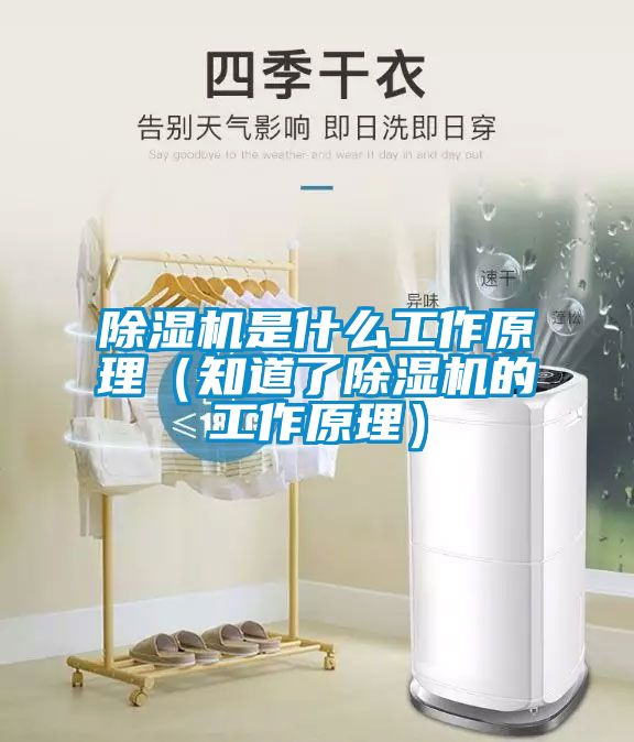 茄子视频懂你更多在线观看是什么工作原理（知道了茄子视频懂你更多在线观看的工作原理）