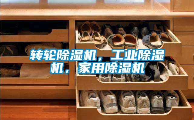 转轮茄子视频懂你更多在线观看，工业茄子视频懂你更多在线观看，家用茄子视频懂你更多在线观看