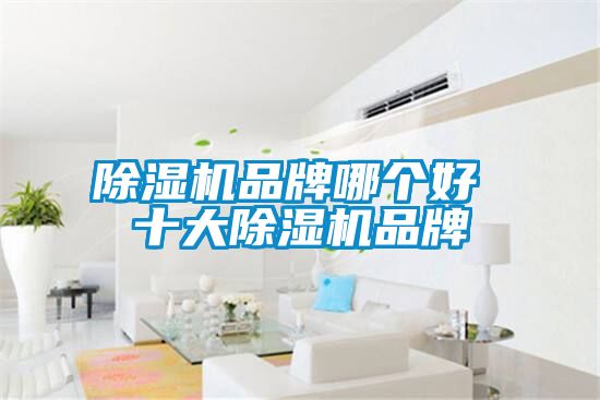 茄子视频懂你更多在线观看品牌哪个好 十大茄子视频懂你更多在线观看品牌