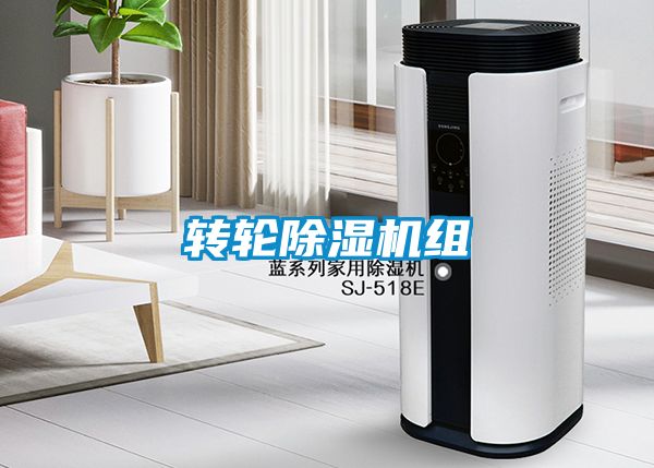 转轮茄子视频懂你更多在线观看组