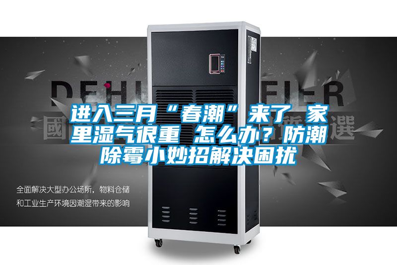 进入三月“春潮”来了 家里湿气很重 怎么办？防潮除霉小妙招解决困扰