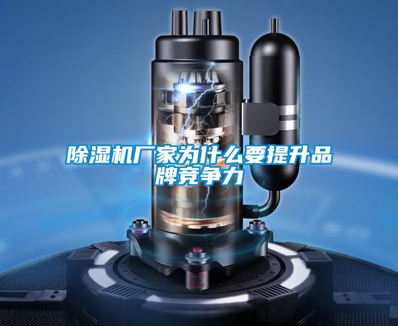 茄子视频懂你更多在线观看厂家为什么要提升品牌竞争力