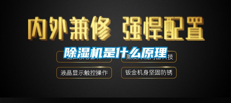 茄子视频懂你更多在线观看是什么原理