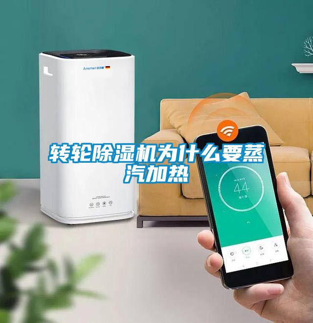 转轮茄子视频懂你更多在线观看为什么要蒸汽加热