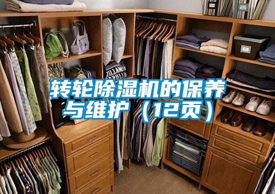 转轮茄子视频懂你更多在线观看的保养与维护(12页)