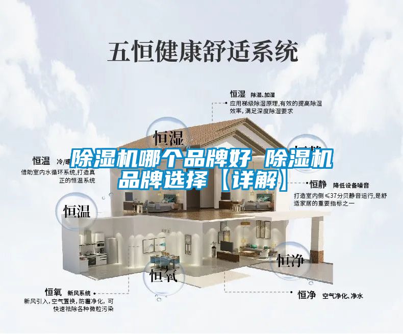 茄子视频懂你更多在线观看哪个品牌好 茄子视频懂你更多在线观看品牌选择【详解】