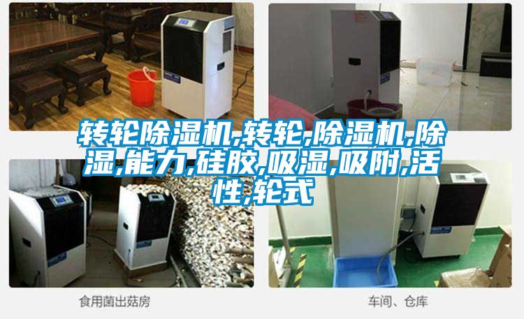 转轮茄子视频懂你更多在线观看,转轮,茄子视频懂你更多在线观看,除湿,能力,硅胶,吸湿,吸附,活性,轮式