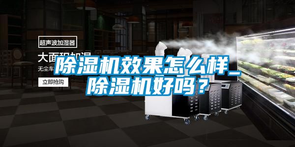 茄子视频懂你更多在线观看效果怎么样_茄子视频懂你更多在线观看好吗？