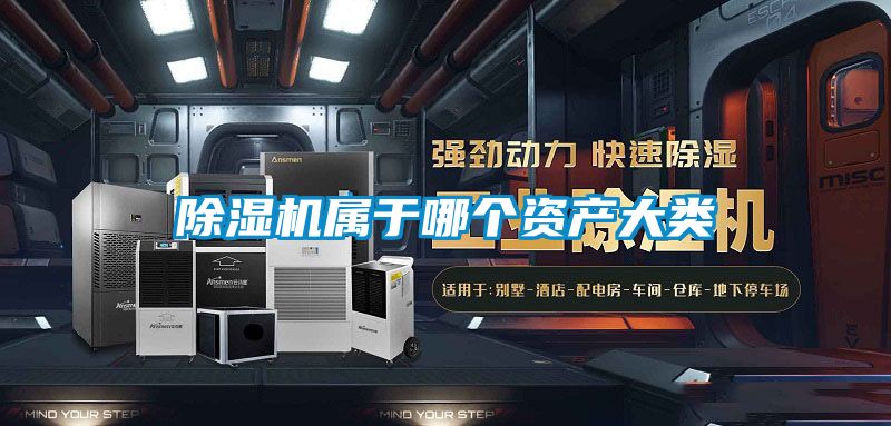 茄子视频懂你更多在线观看属于哪个资产大类