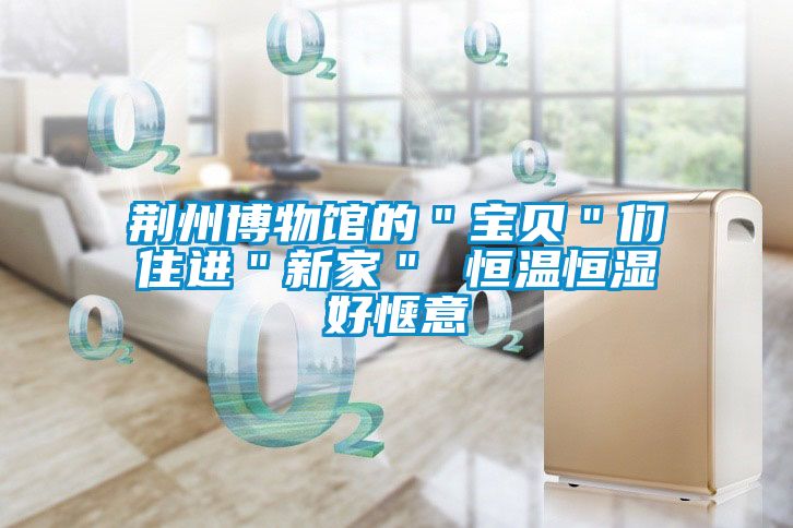 荆州博物馆的"宝贝"们住进"新家" 恒温恒湿好惬意