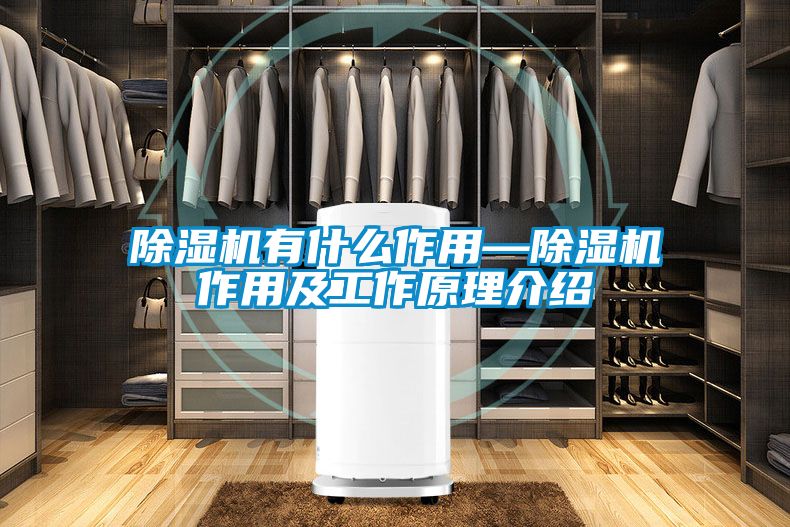 茄子视频懂你更多在线观看有什么作用—茄子视频懂你更多在线观看作用及工作原理介绍