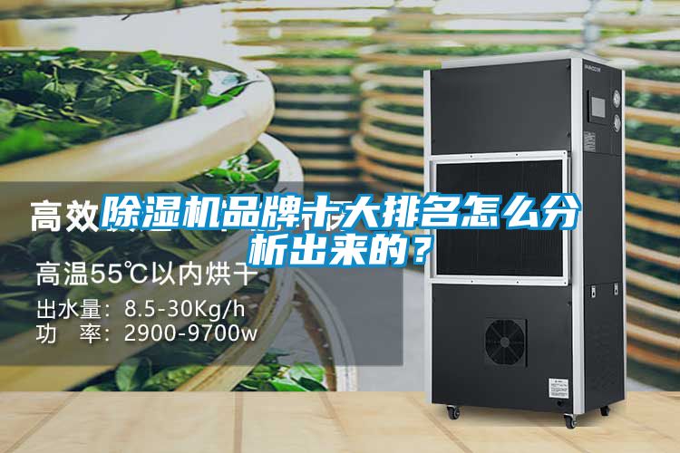 茄子视频懂你更多在线观看品牌十大排名怎么分析出来的？