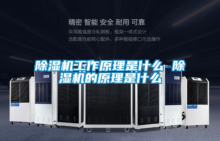 茄子视频懂你更多在线观看工作原理是什么 茄子视频懂你更多在线观看的原理是什么