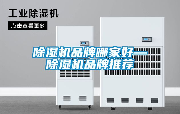 茄子视频懂你更多在线观看品牌哪家好—茄子视频懂你更多在线观看品牌推荐