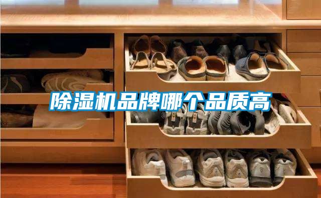 茄子视频懂你更多在线观看品牌哪个品质高
