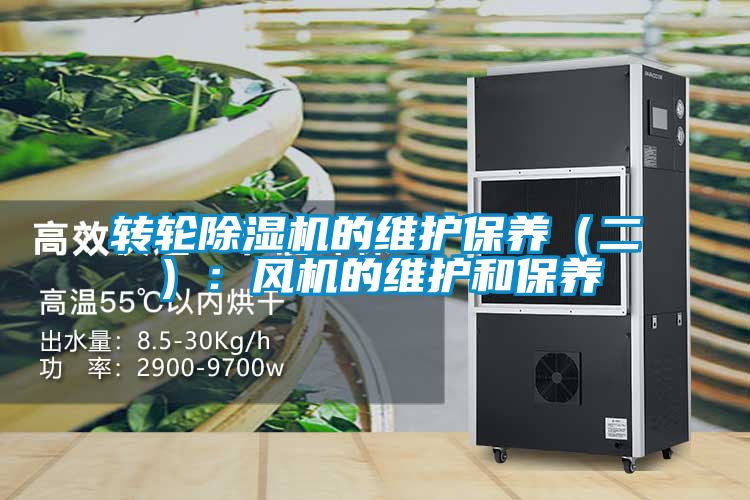 转轮茄子视频懂你更多在线观看的维护保养（二）：风机的维护和保养