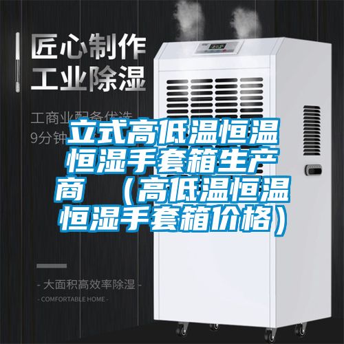 立式高低温恒温恒湿手套箱生产商 (高低温恒温恒湿手套箱价格)