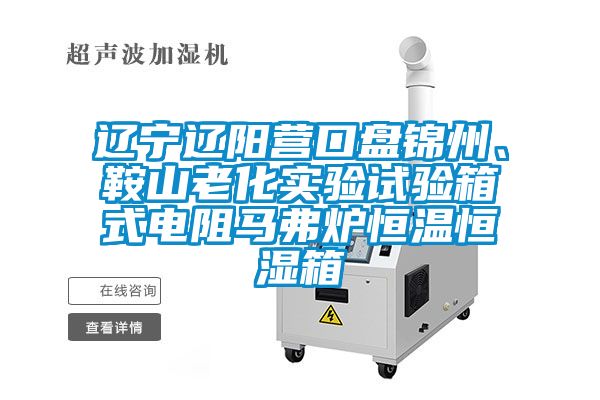 辽宁辽阳营口盘锦州、鞍山老化实验试验箱式电阻马弗炉恒温恒湿箱