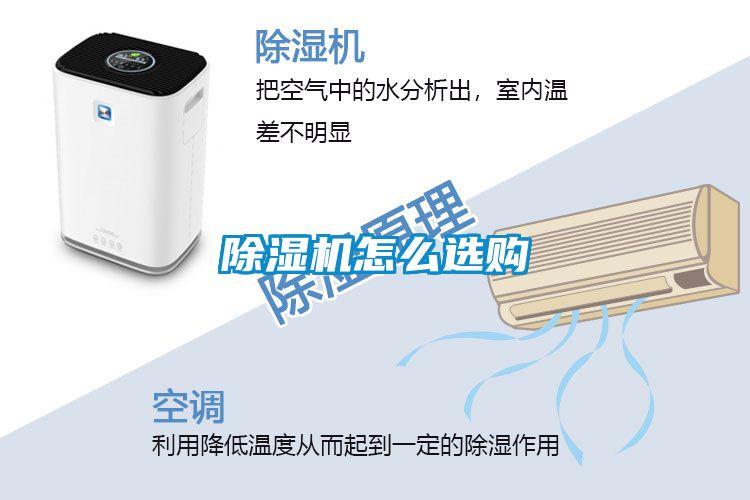 茄子视频懂你更多在线观看怎么选购