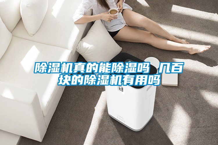 茄子视频懂你更多在线观看真的能除湿吗 几百块的茄子视频懂你更多在线观看有用吗