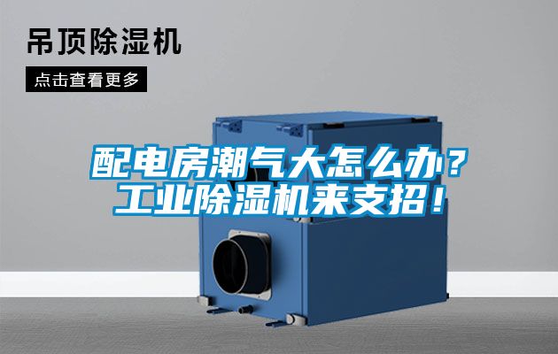 配电房潮气大怎么办？工业茄子视频懂你更多在线观看来支招！