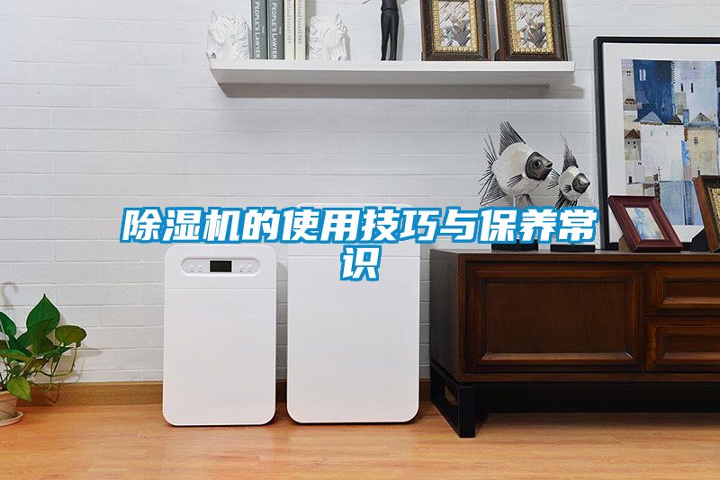 茄子视频懂你更多在线观看的使用技巧与保养常识