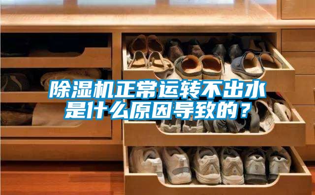 茄子视频懂你更多在线观看正常运转不出水是什么原因导致的？