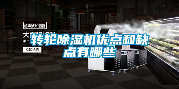 转轮茄子视频懂你更多在线观看优点和缺点有哪些