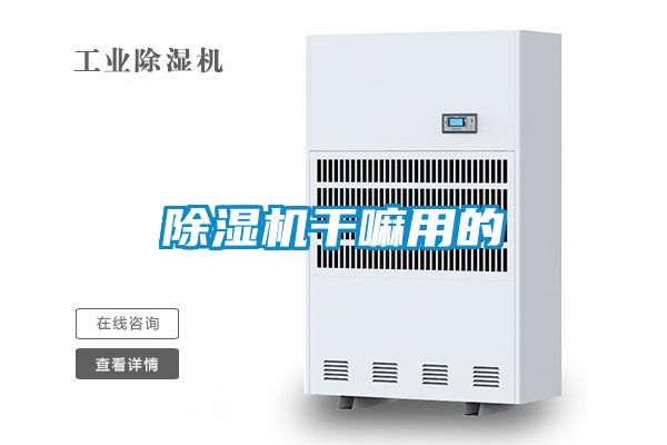 茄子视频懂你更多在线观看干嘛用的