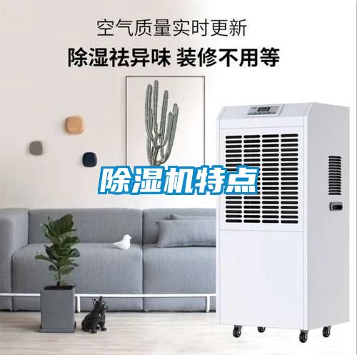 茄子视频懂你更多在线观看特点