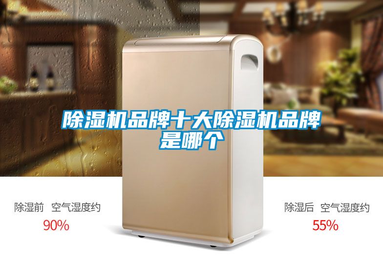 茄子视频懂你更多在线观看品牌十大茄子视频懂你更多在线观看品牌是哪个