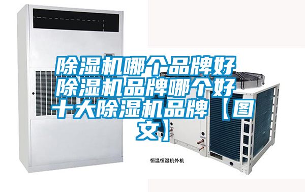 茄子视频懂你更多在线观看哪个品牌好 茄子视频懂你更多在线观看品牌哪个好 十大茄子视频懂你更多在线观看品牌【图文】