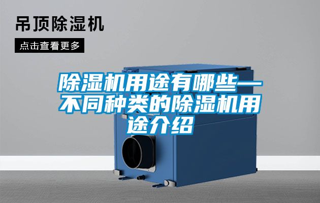 茄子视频懂你更多在线观看用途有哪些—不同种类的茄子视频懂你更多在线观看用途介绍