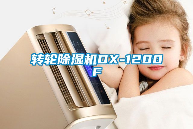 转轮茄子视频懂你更多在线观看DX-1200F