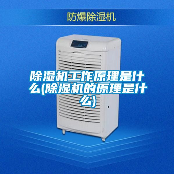 茄子视频懂你更多在线观看工作原理是什么(茄子视频懂你更多在线观看的原理是什么)