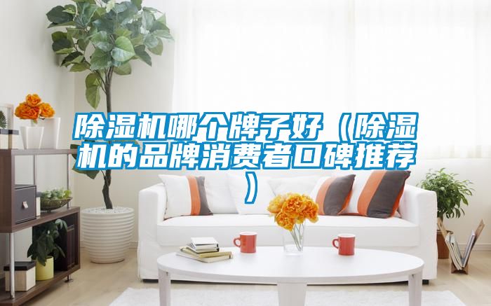 茄子视频懂你更多在线观看哪个牌子好(茄子视频懂你更多在线观看的品牌消费者口碑推荐)