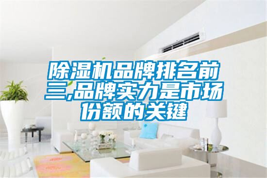 茄子视频懂你更多在线观看品牌排名前三,品牌实力是市场份额的关键