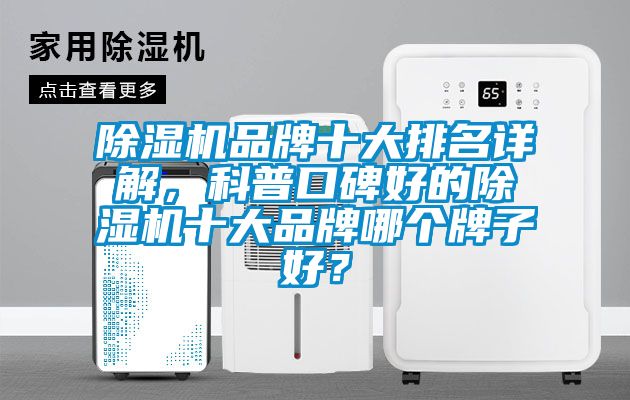 茄子视频懂你更多在线观看品牌十大排名详解，科普口碑好的茄子视频懂你更多在线观看十大品牌哪个牌子好？