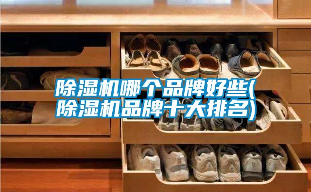 茄子视频懂你更多在线观看哪个品牌好些(茄子视频懂你更多在线观看品牌十大排名)