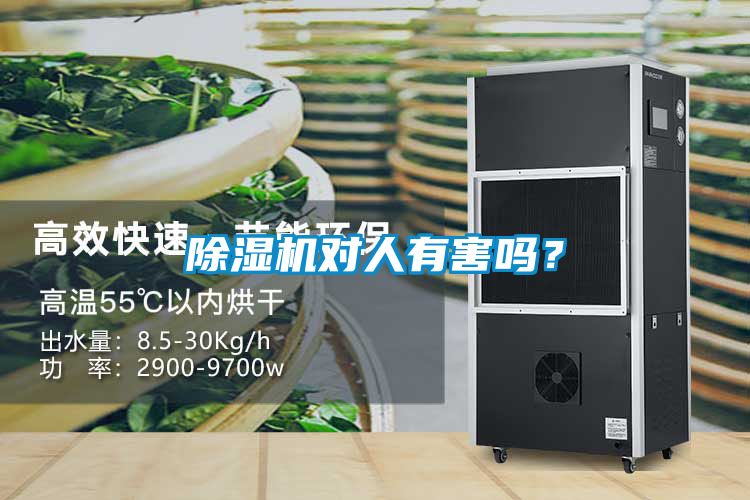 茄子视频懂你更多在线观看对人有害吗？