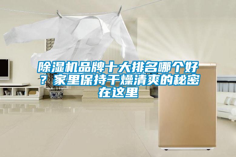 茄子视频懂你更多在线观看品牌十大排名哪个好？家里保持干燥清爽的秘密在这里