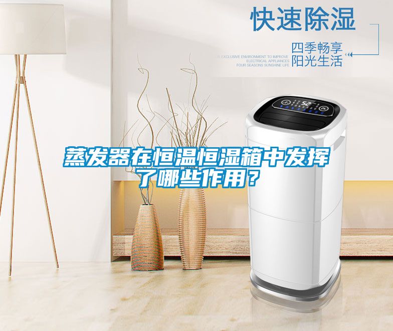 蒸发器在恒温恒湿箱中发挥了哪些作用？